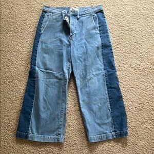 Madewell Two-Tone Blue Flare Jeans